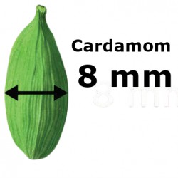 CARDAMOM 8 MM BOLD