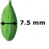 CARDAMOM 7.5 MM 