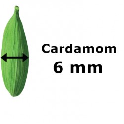 CARDAMOM 6.5 MM